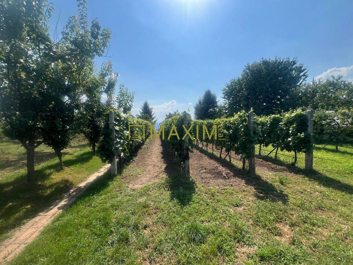 Pekný 3 izbový rodinný dom s veľkým pozemkom v Prievaloch