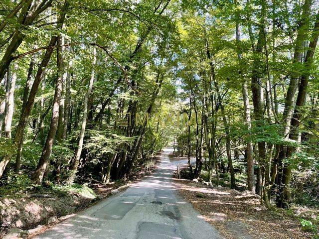 Celoročne obývateľná chata Domček zázrakov v Kučišdorfskej doline, v P