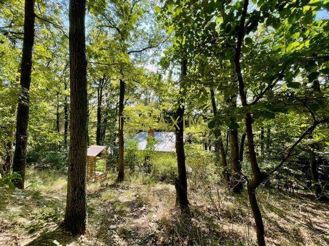 Celoročne obývateľná chata Domček zázrakov v Kučišdorfskej doline, v P