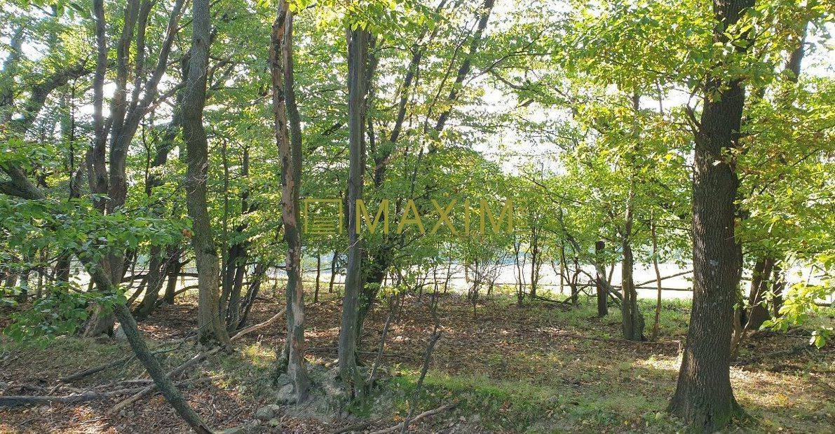 Slnečný takmer hektárový pozemok (9410m²) v k.ú. Kuchyňa s nádherným p