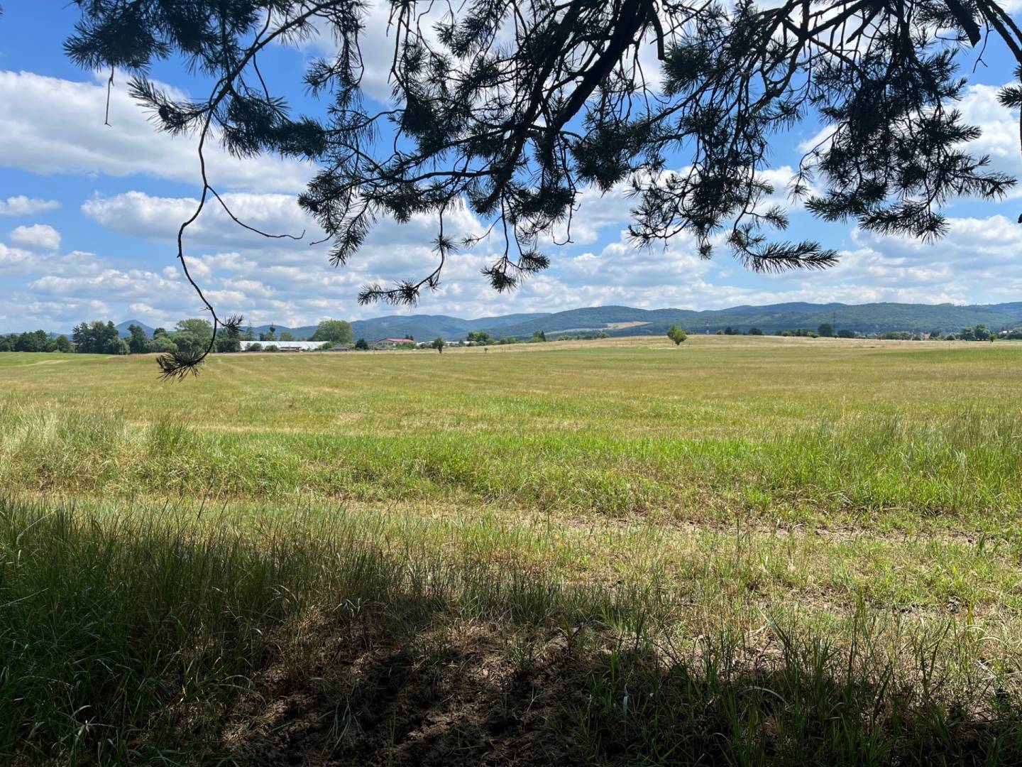 Lúka pod lesom v Jablonovom