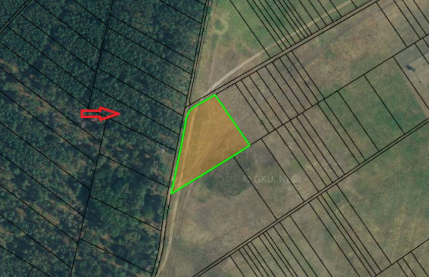 Lúka pod lesom v Jablonovom