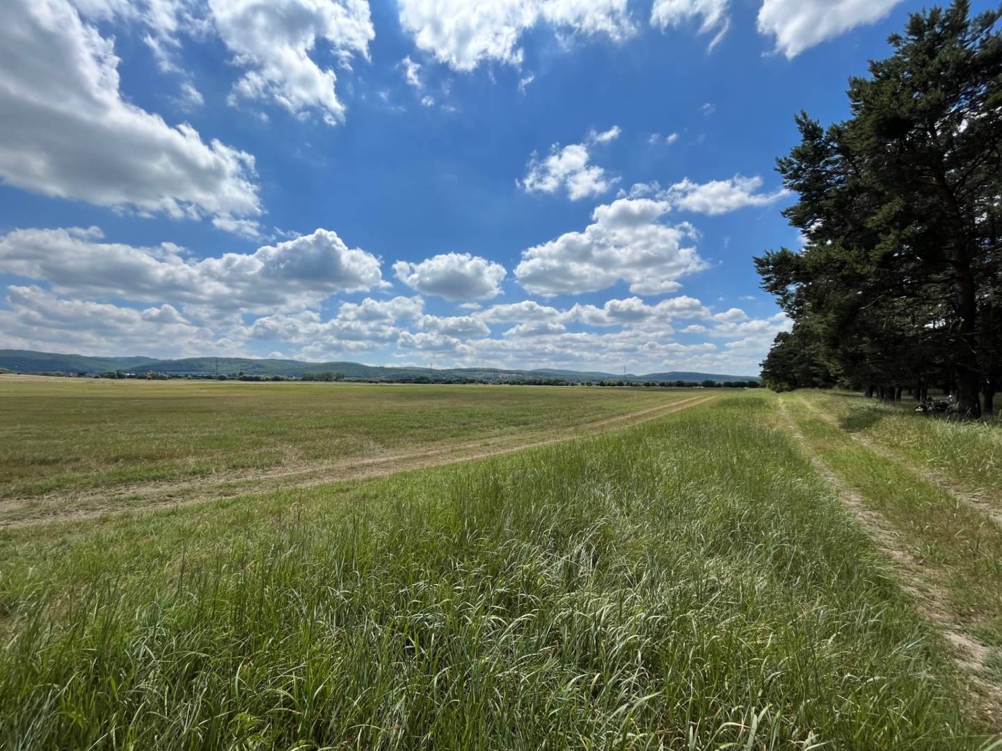 Lúka pod lesom v Jablonovom