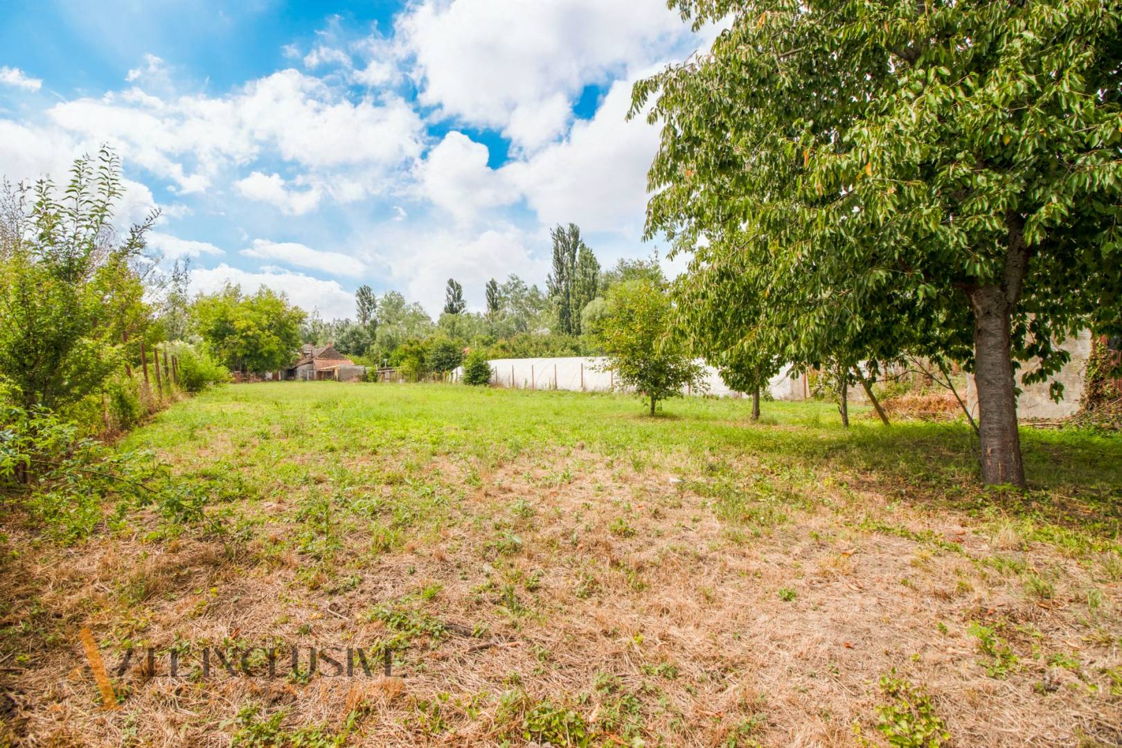 External property image