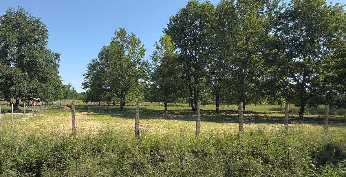 PREDAJ – Rozľahlý, slnečný pozemok s výmerou 3 335 m2 – Malý Háj