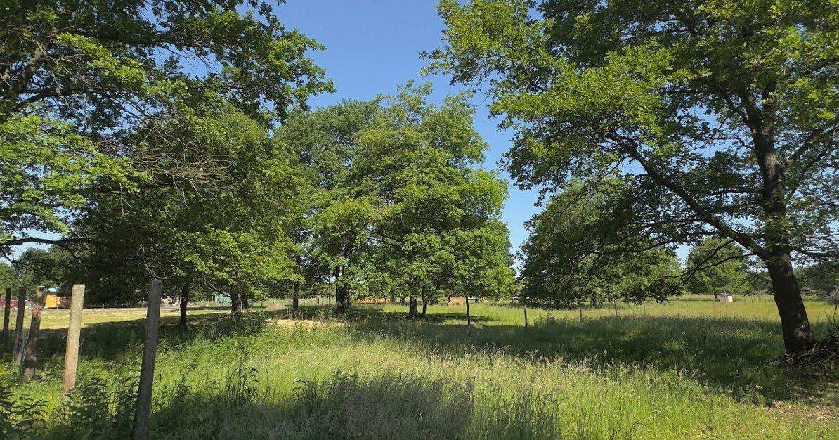 PREDAJ – Rozľahlý, slnečný pozemok s výmerou 3 335 m2 – Malý Háj