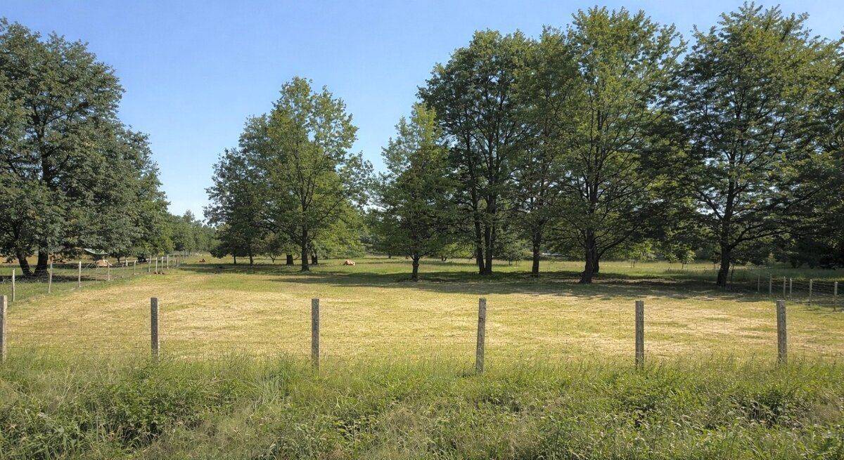 PREDAJ – Rozľahlý, slnečný pozemok s výmerou 3 335 m2 – Malý Háj