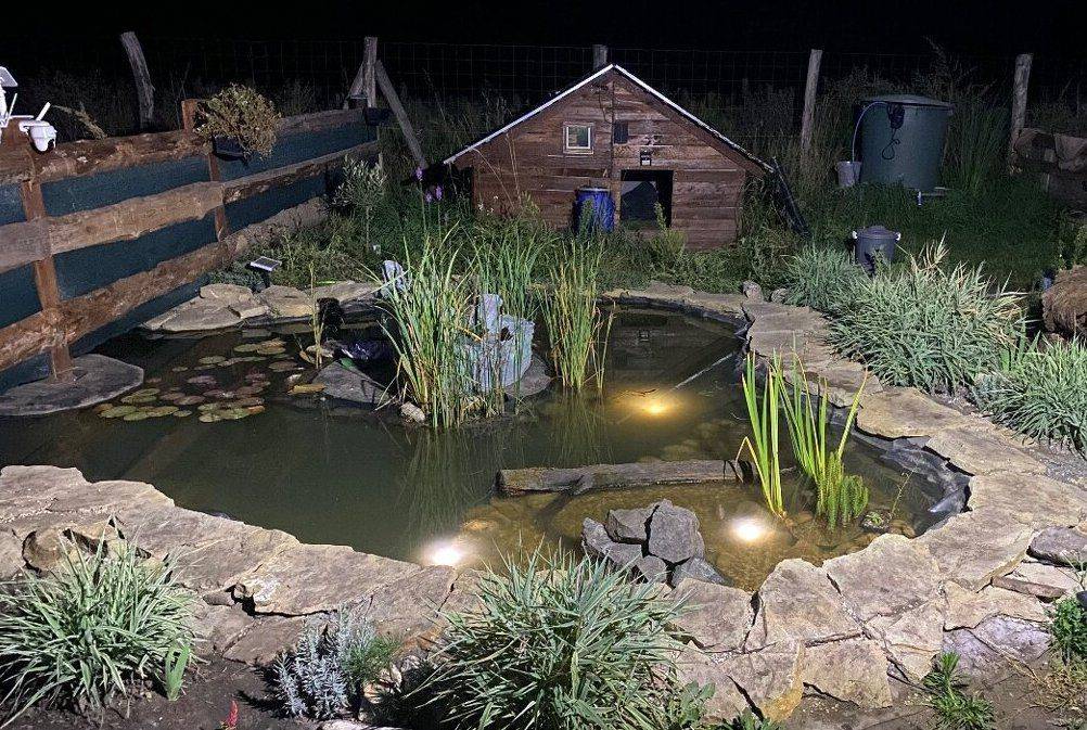 PREDAJ – Krásna záhrada v lokalite Devínske Jazero