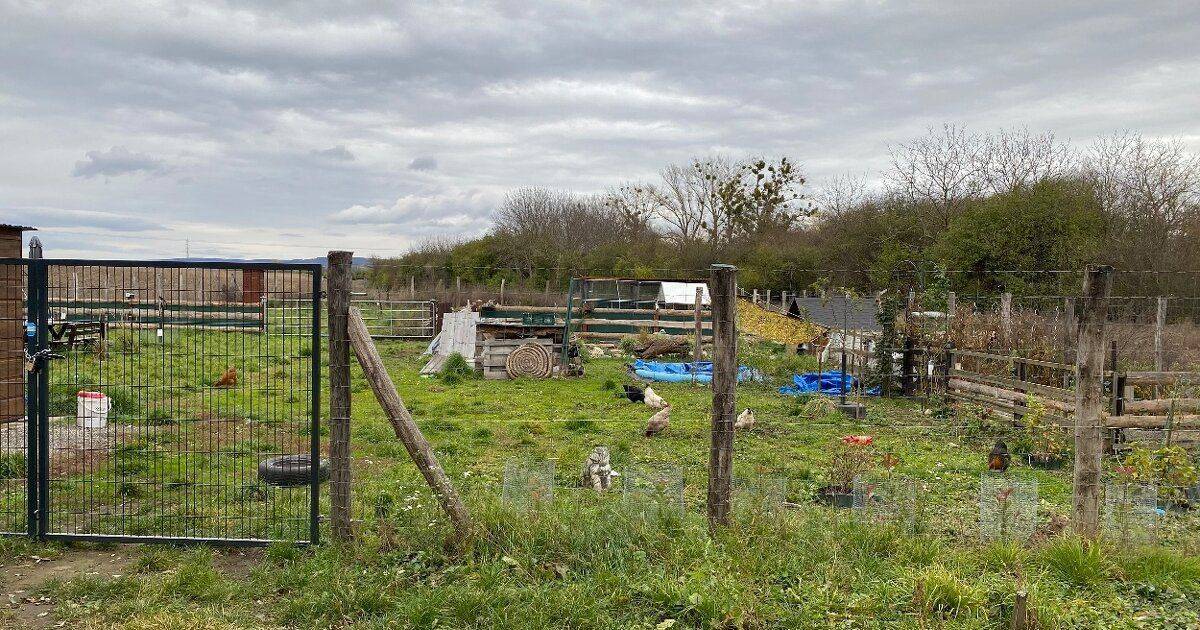 PREDAJ – Krásna záhrada v lokalite Devínske Jazero