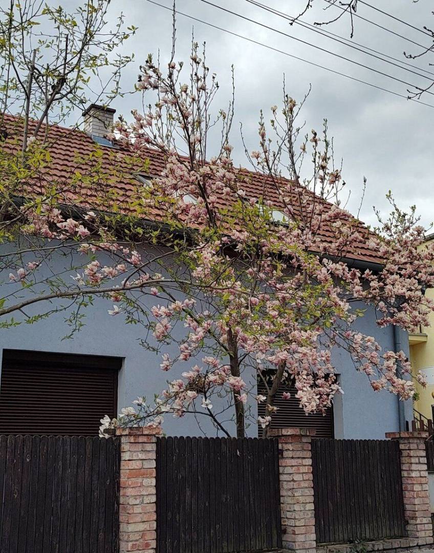 6-izbový rodinný dom s veľkou záhradou v Stupave na ulici Cintorínska