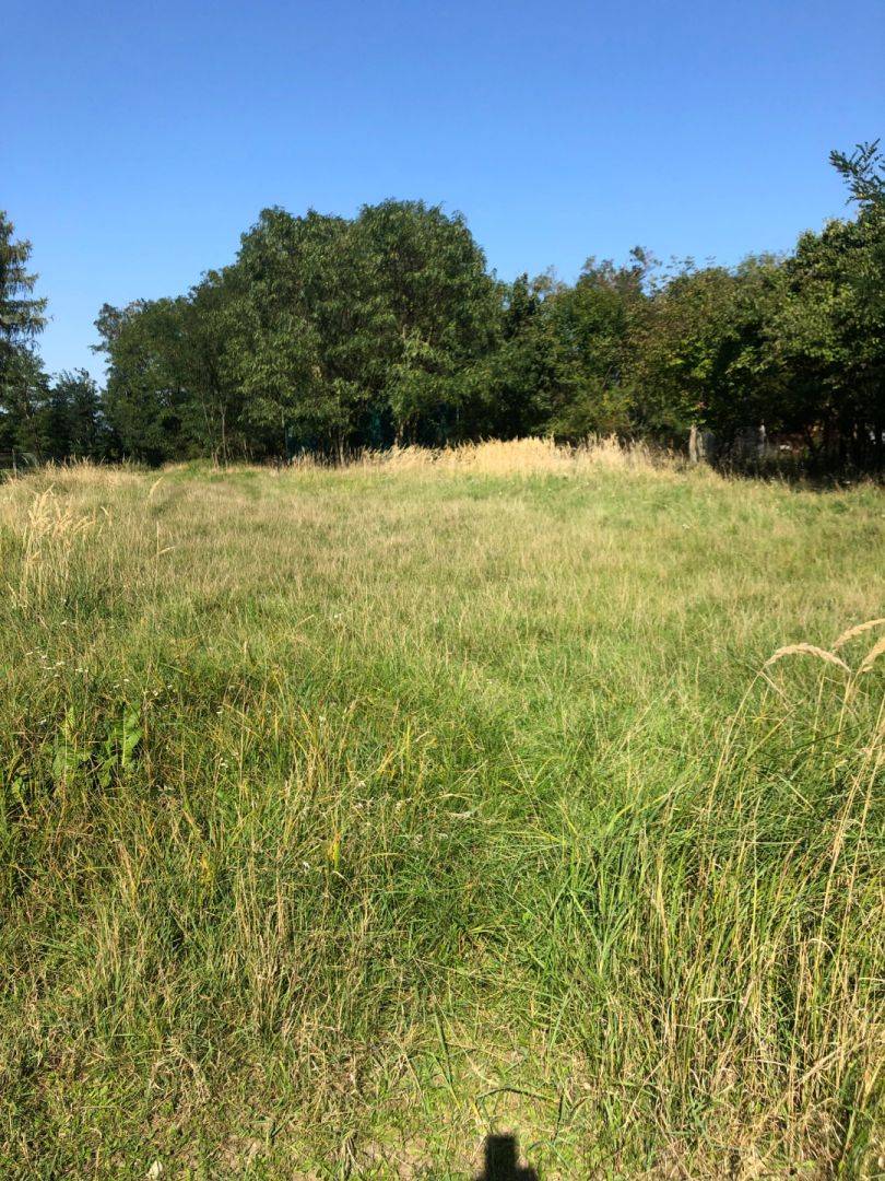 PREDAJ – Záhrada v Stupave Grefty