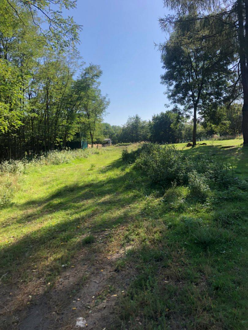 PREDAJ – Záhrada v Stupave Grefty