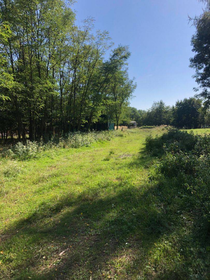 PREDAJ – Záhrada v Stupave Grefty