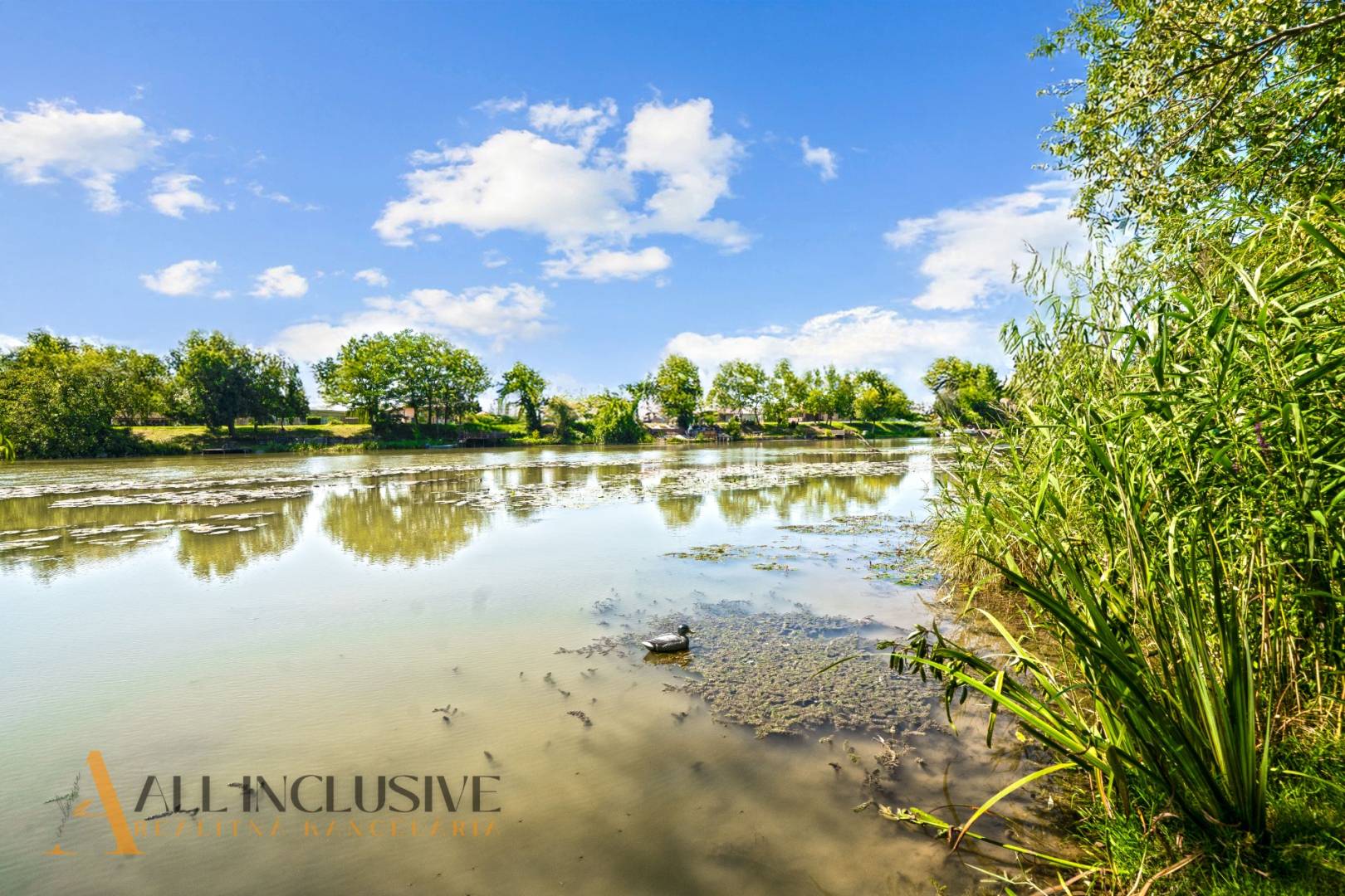 External property image