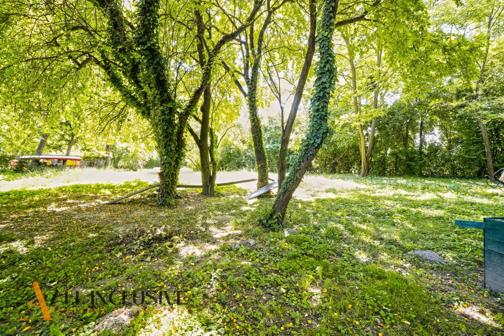 External property image