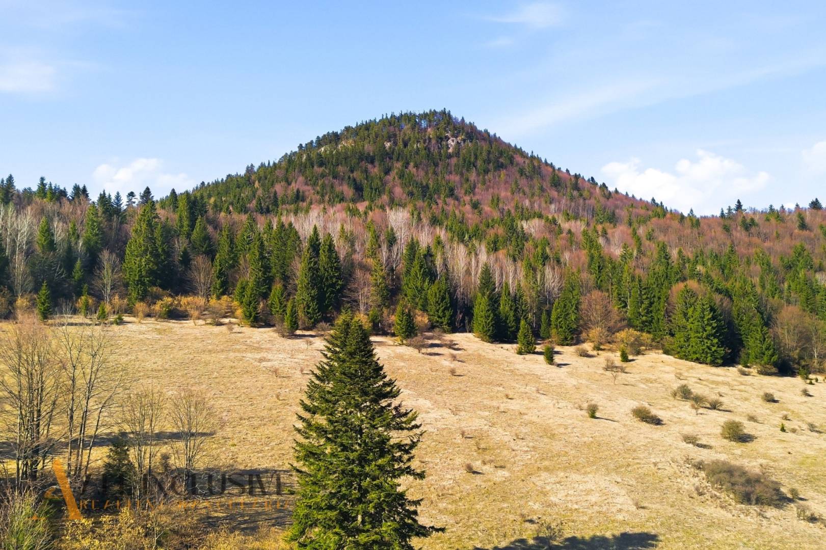 External property image