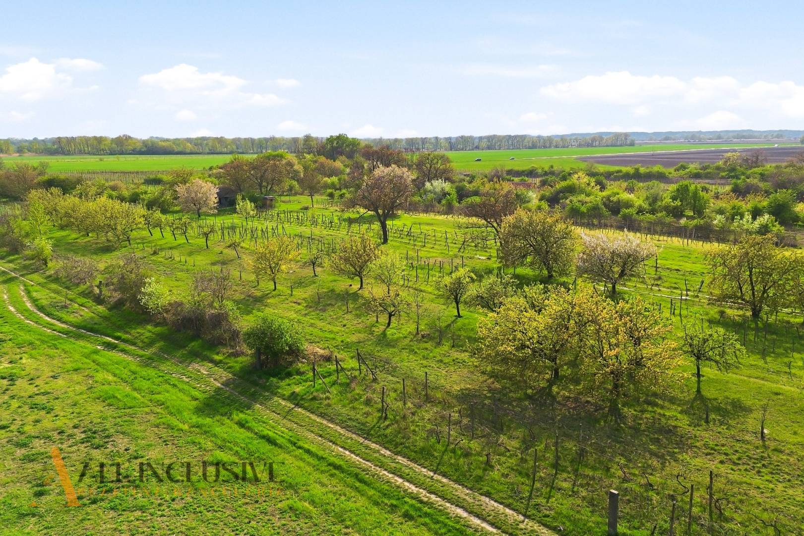 External property image