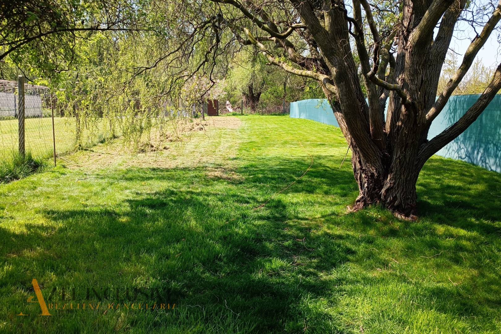 External property image