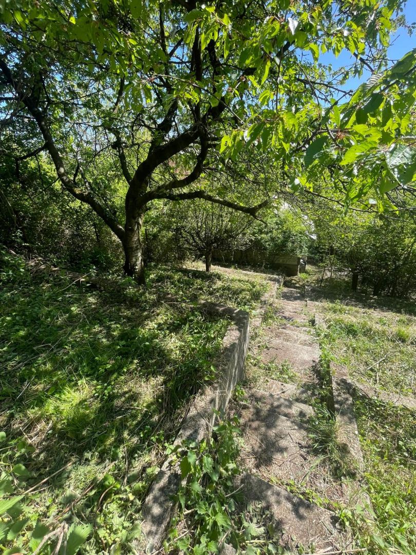 Rekreačná chata s pozemkom a panoramatickým výhľadom – Ovocinár