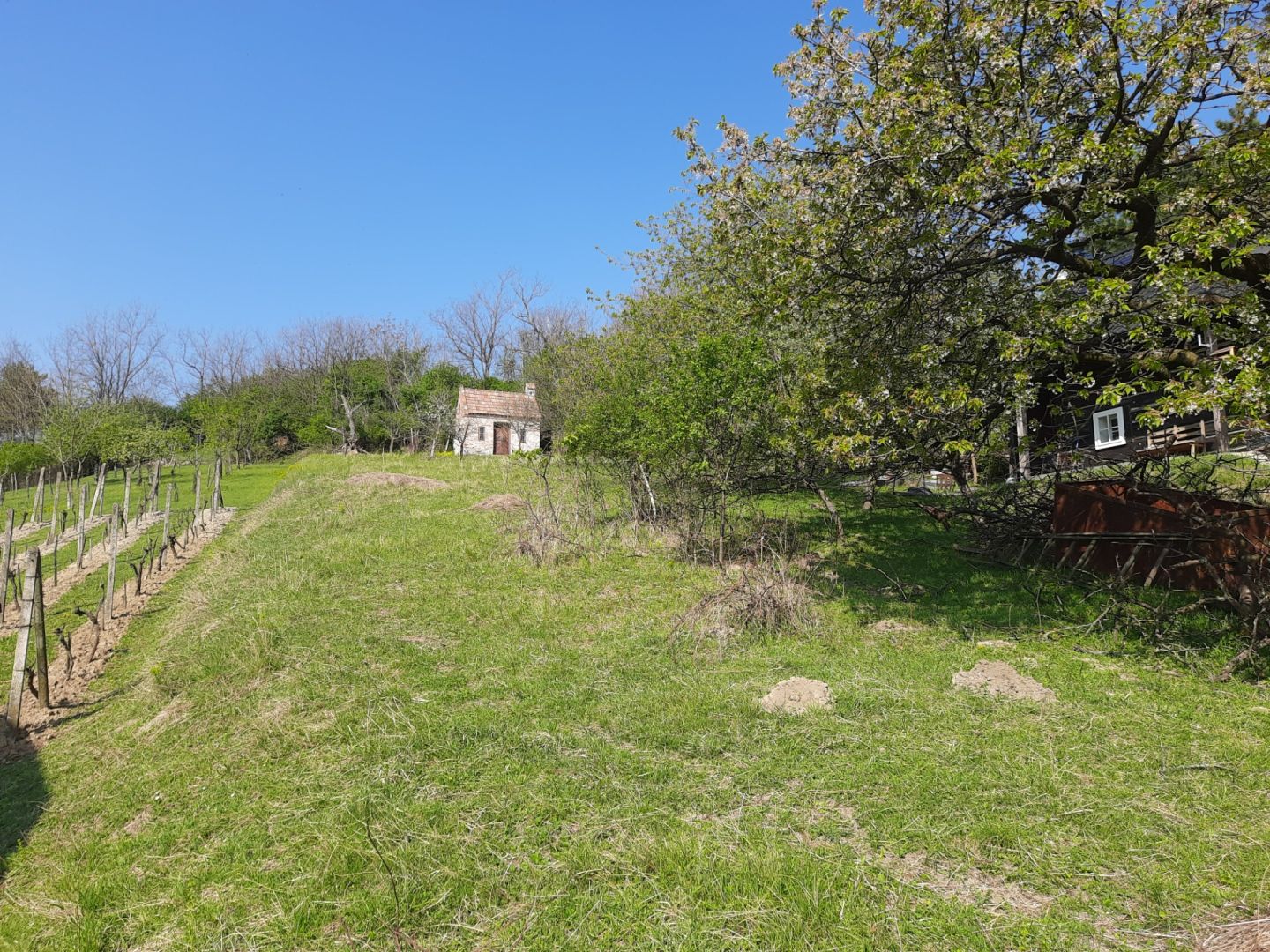 Rekreačný pozemok s chatkou a panoram. výhľadom – Stupava, Vrchná hora