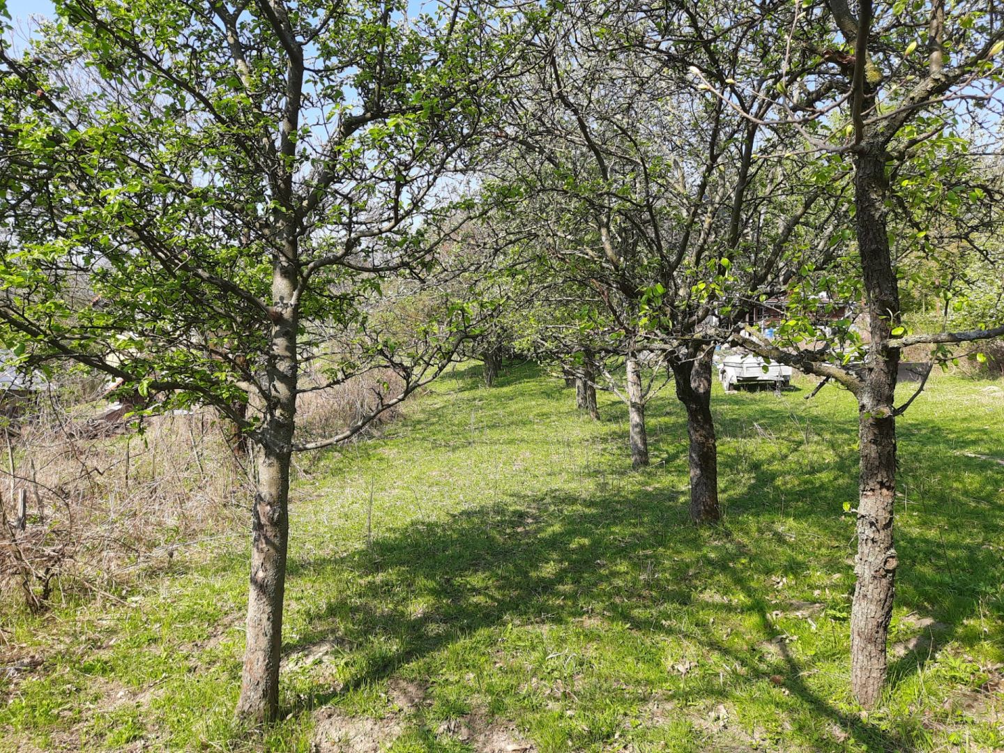 Rekreačný pozemok s chatkou a panoram. výhľadom – Stupava, Vrchná hora