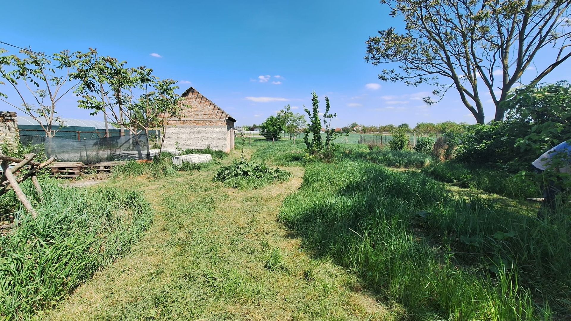 External property image