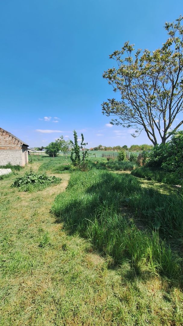 External property image