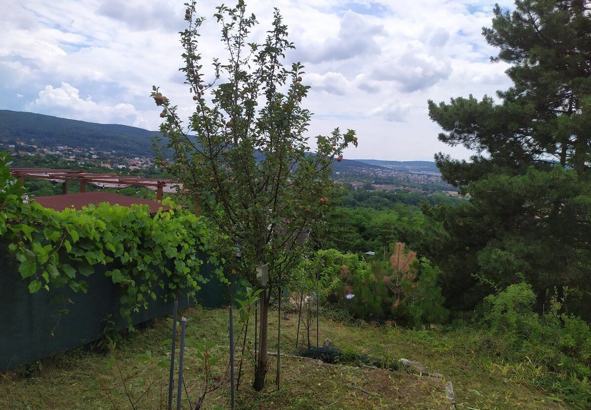 PREDAJ – Záhrada v Stupave