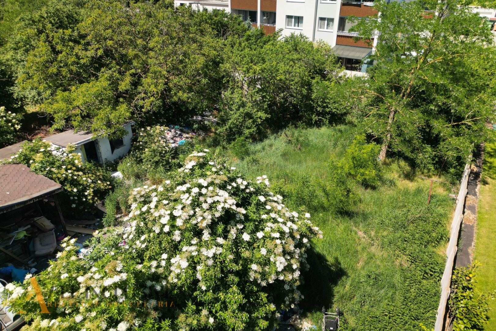 External property image