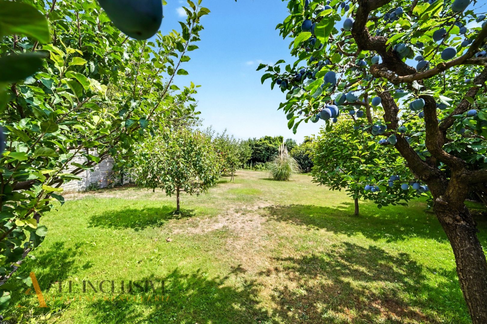 External property image