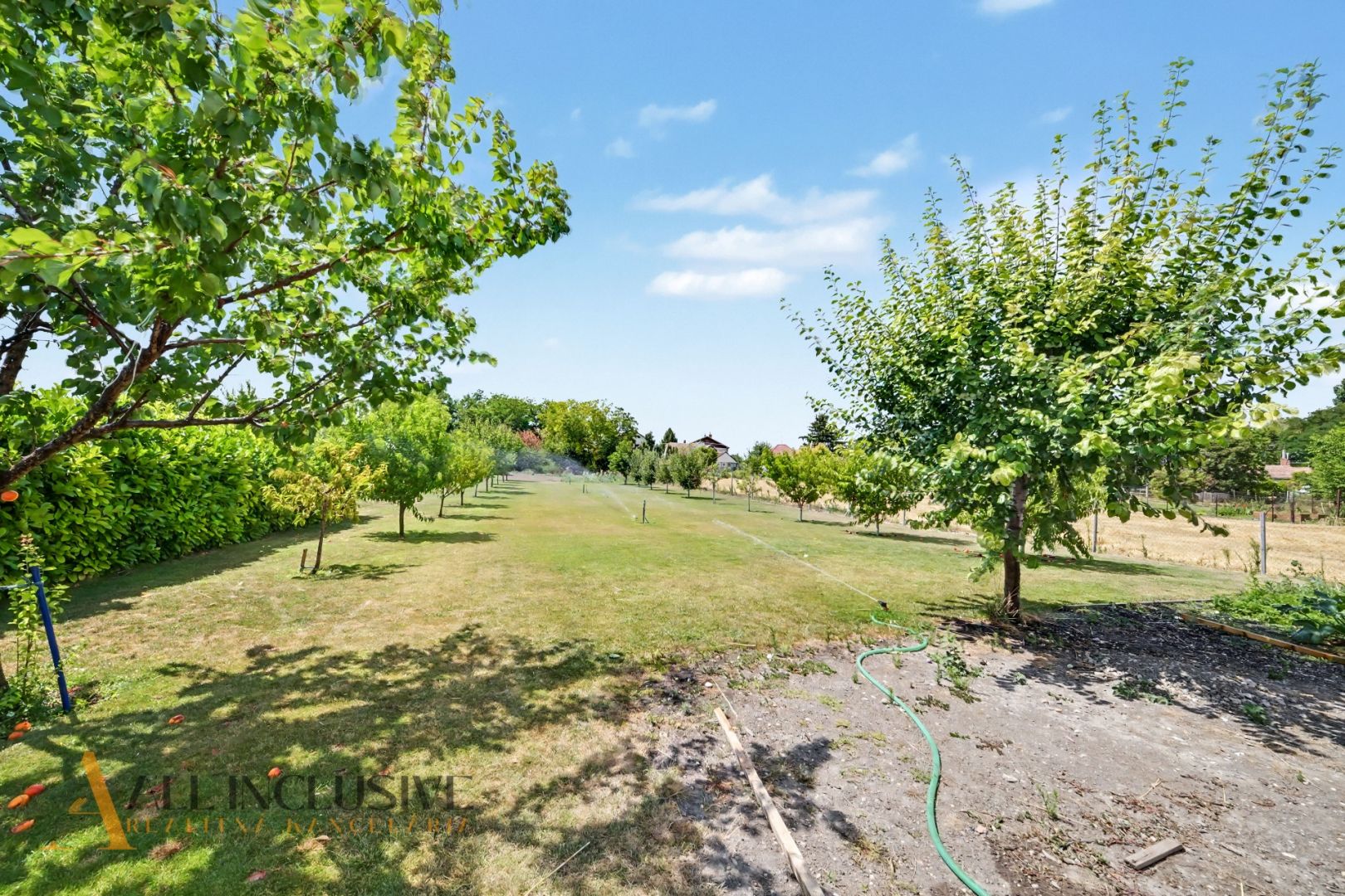 External property image