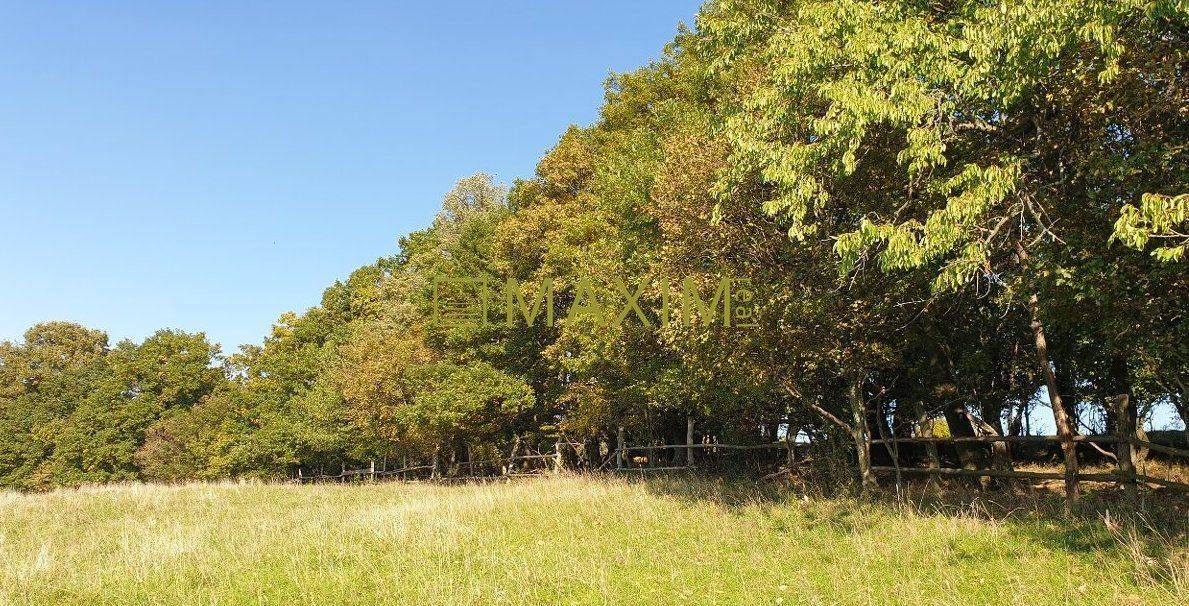 Slnečný takmer hektárový pozemok (9410m²) v k.ú. Kuchyňa s nádherným p