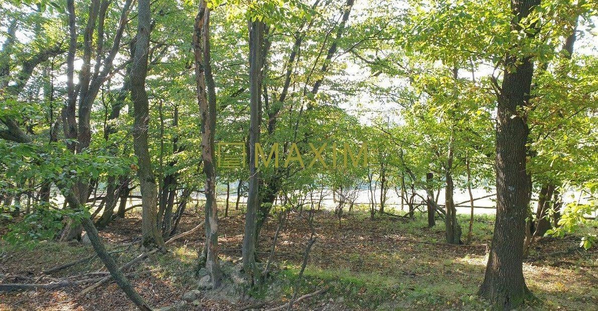 Slnečný takmer hektárový pozemok (9410m²) v k.ú. Kuchyňa s nádherným p