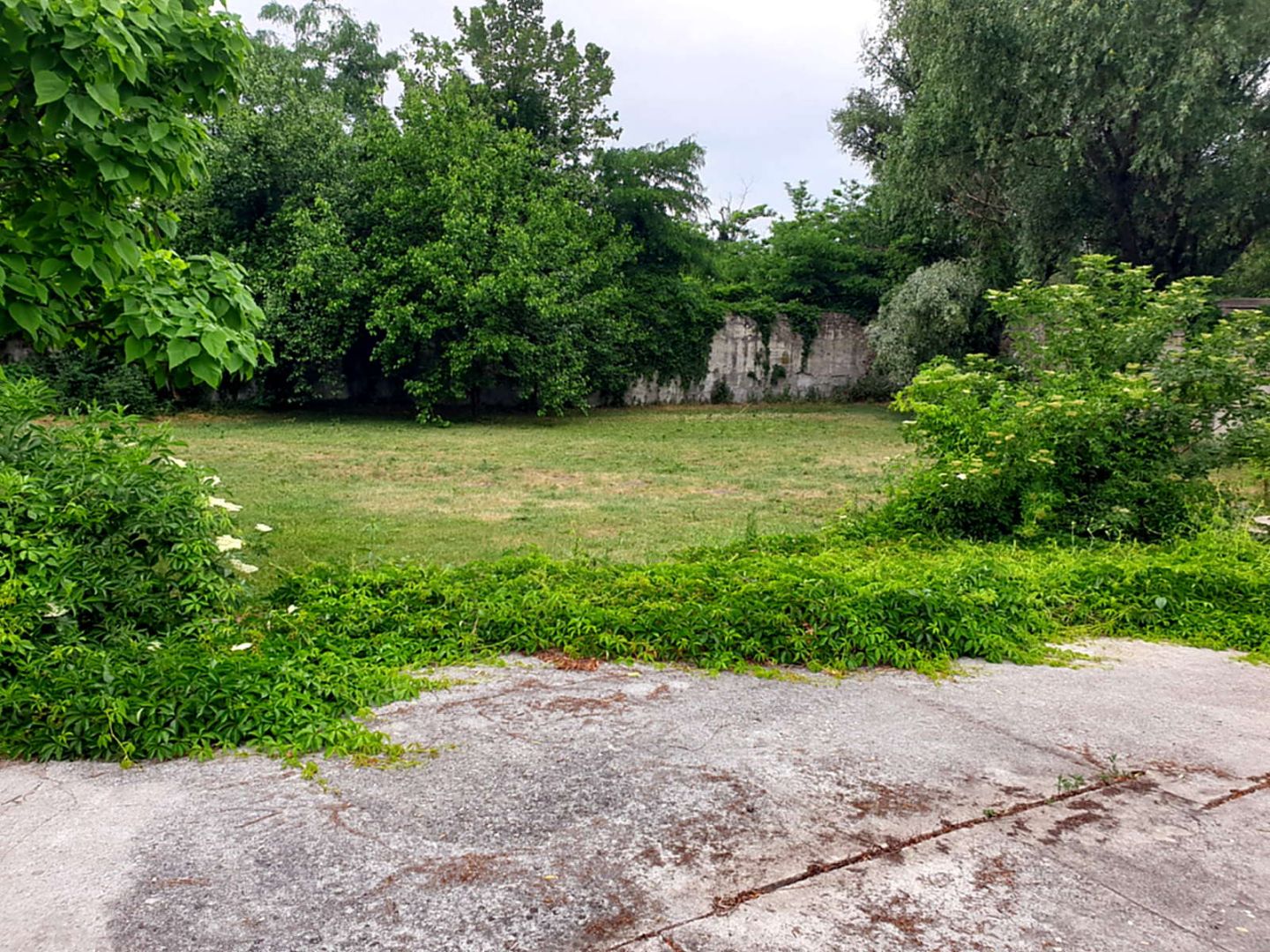 External property image