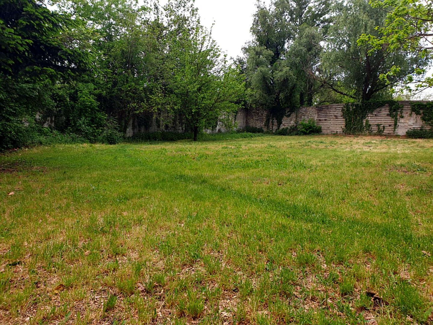 External property image