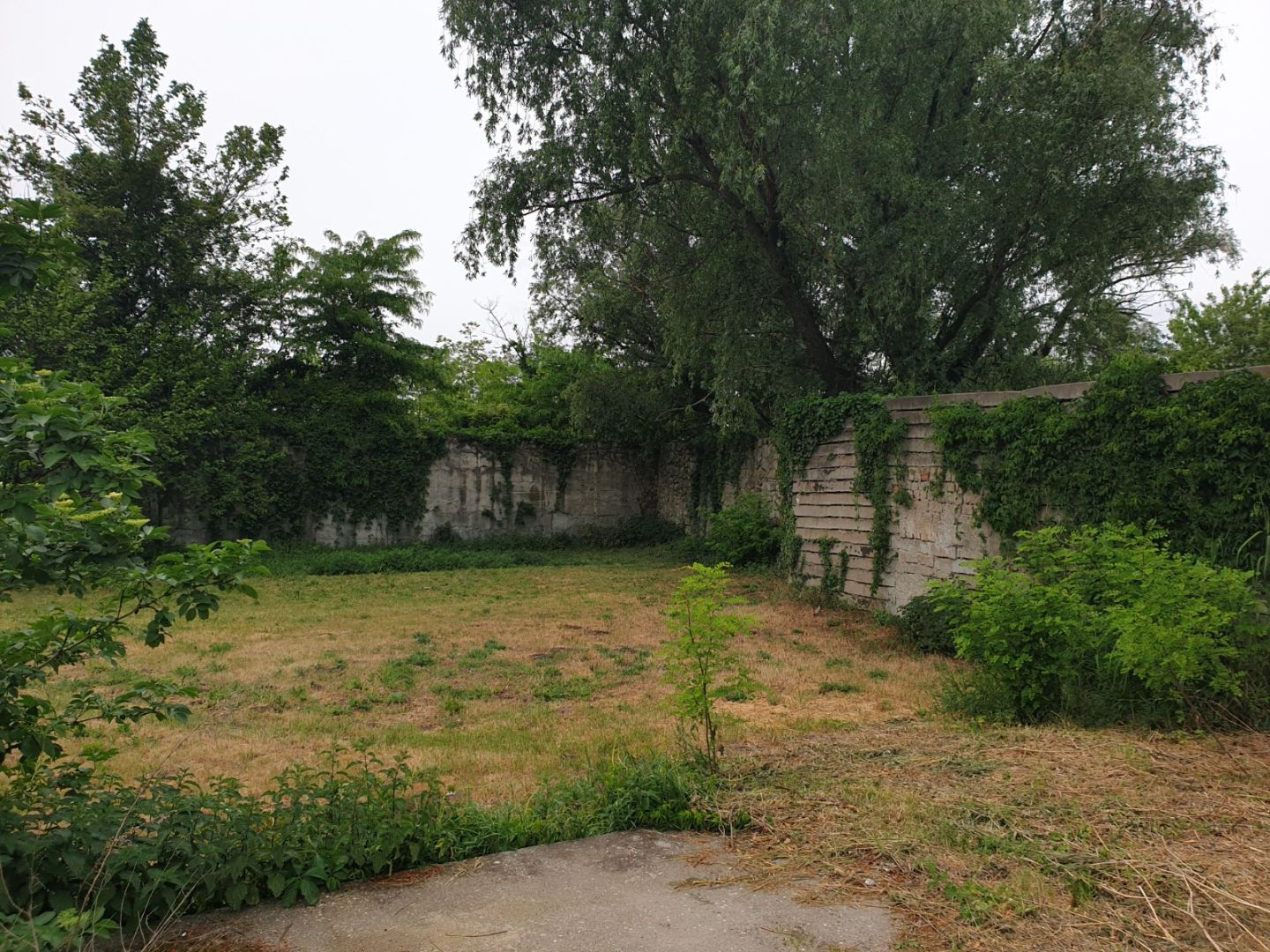 External property image
