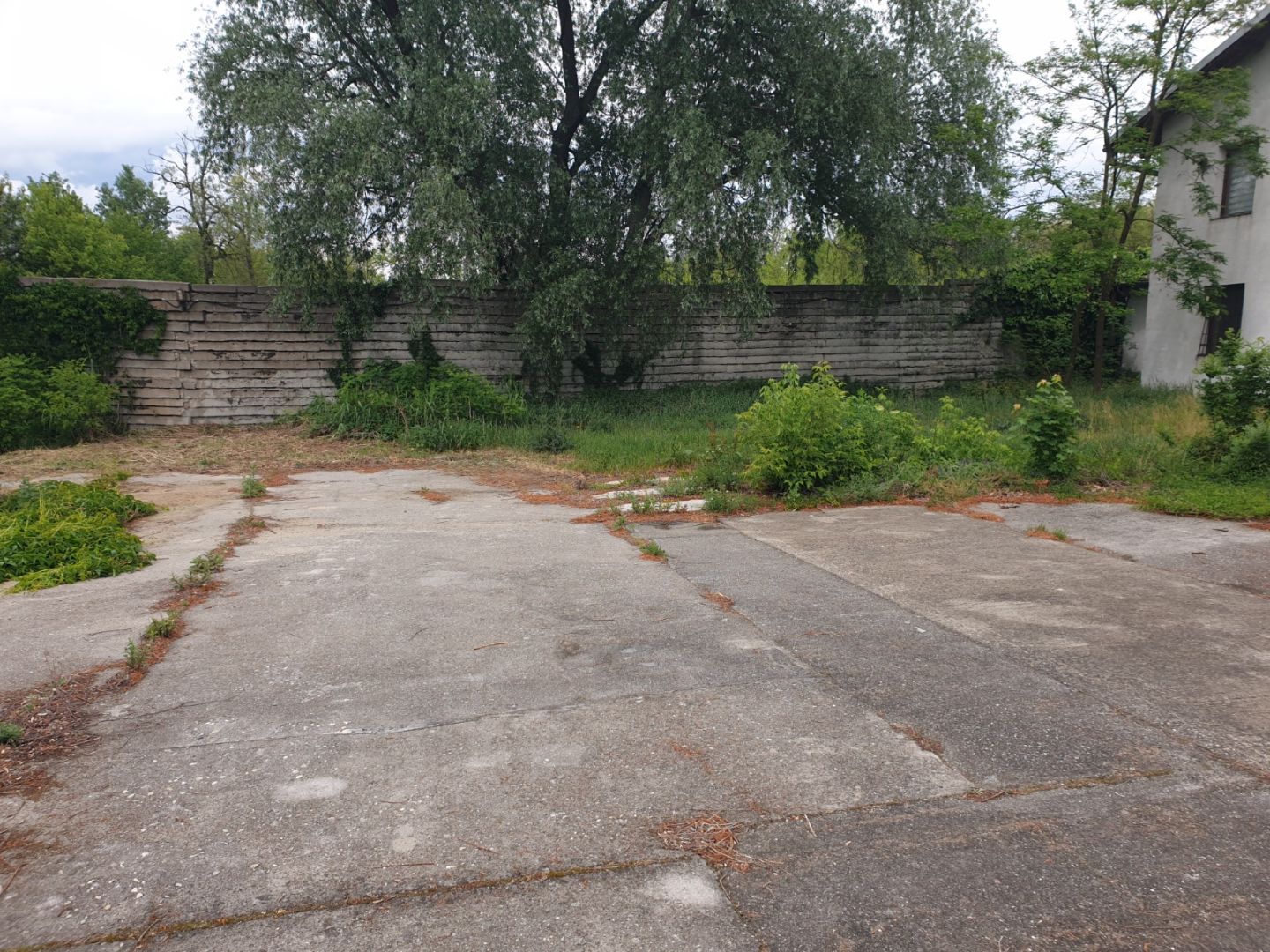 External property image