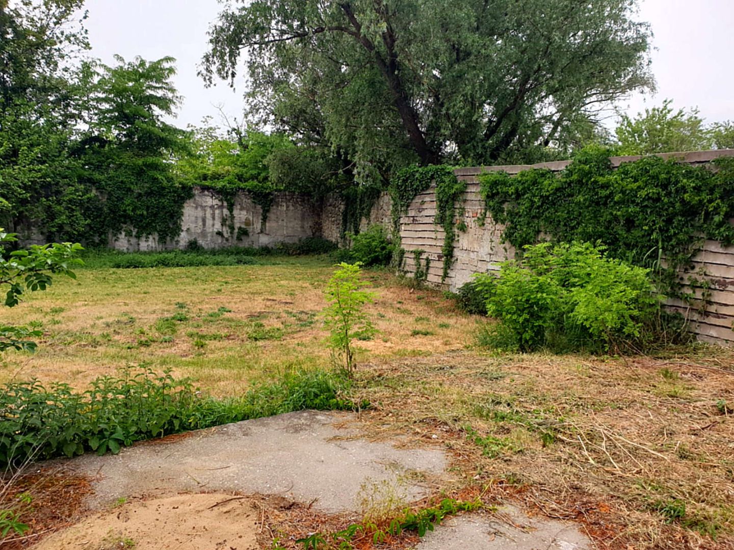External property image