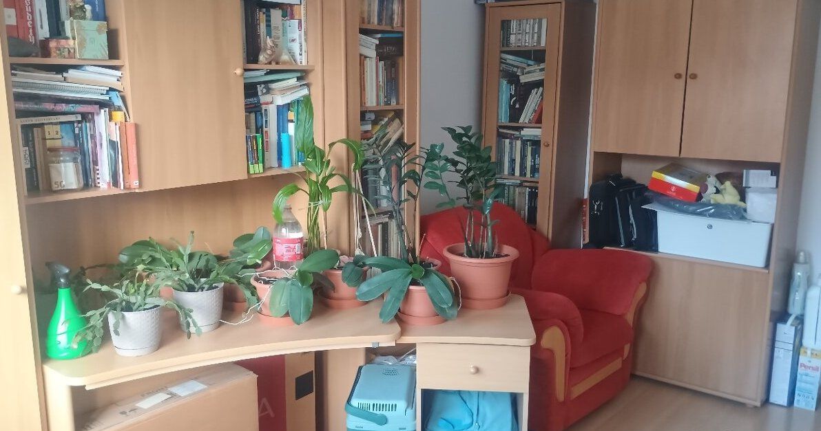 3- izbový byt na ulici Jedľová