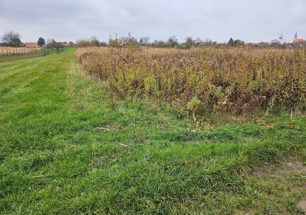 Pozemok o výmere 454 m2, schválený v Územnom pláne na stavbu RD