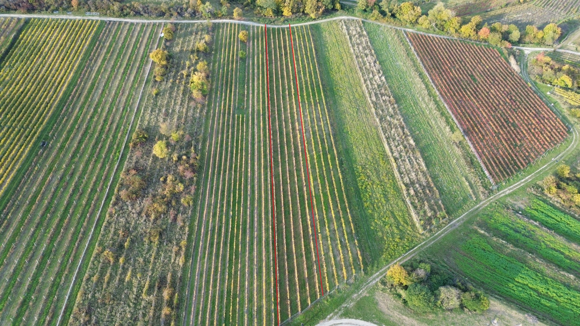 PREDAJ Vinohradu – Pezinok